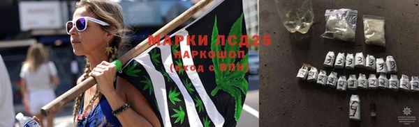 сатива Вязьма