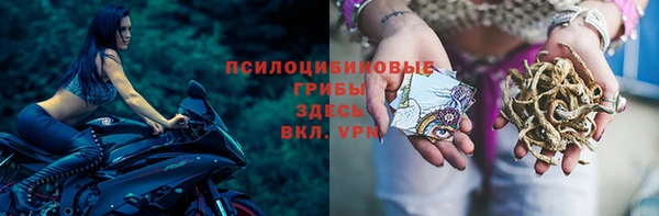 гашиш Вяземский