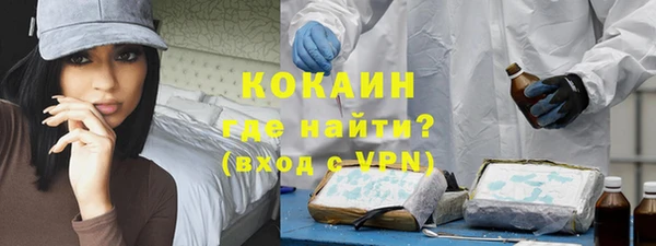 сатива Вязьма
